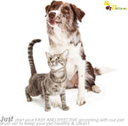 2 Pack Dog Grooming Bath Brush, Premium Soft Silicone Pet Brushes - Image 7