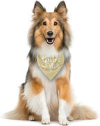 Big Sister Dog Bandanas, Light Yellow Dog Bandana, Pet Scarf Triangle - Image 4