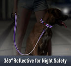 Airtag Dog Collar with AirTag Holder - Image 4