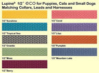 LupinePet Eco 1/2" Berry Cat Safety Collar - Image 3