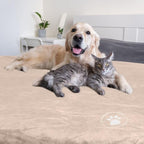 Waterproof Blanket for Dogs and Cats - Image 8