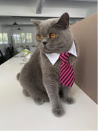 4 Pieces Pets Dog Cat Bowtie Pet Costume Adjustable Formal Necktie Collar - Image 4