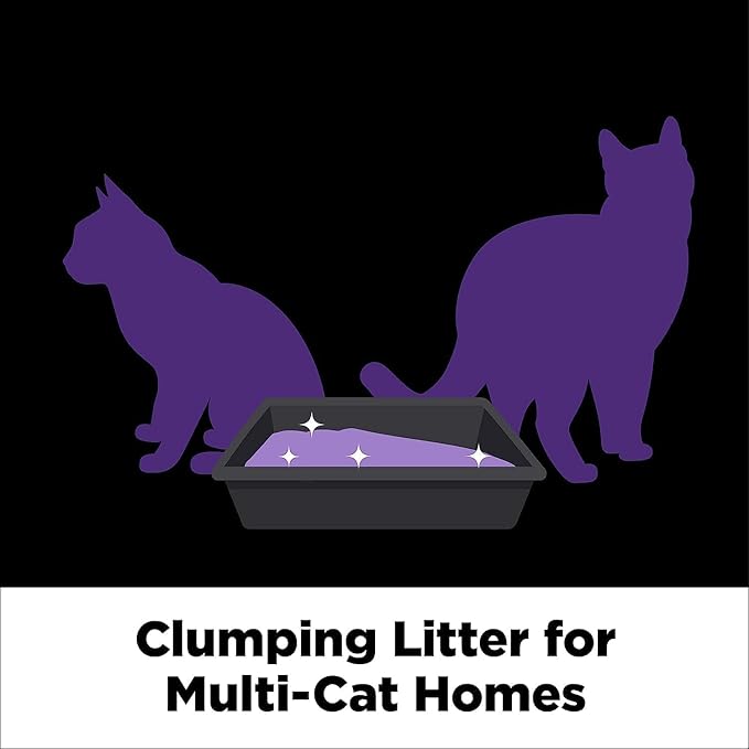 ARM & HAMMER Clump & Seal Slide Platinum Multi-Cat Clumping Cat Litter - Image 7