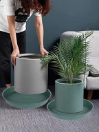 2 Pack of 8 inch Plant Saucer Clear, Heavy Duty Plastic Plant Water Tray 8 inch - Image 6