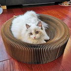 Cat Scratcher Lounge Bed - Image 4