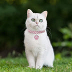 Pet Collar with Diamonds, Adjustable Crystal Diamond Elastic Heart Claw Pendant - Image 6