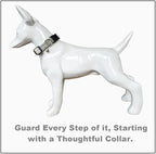 SuperBuddy Dog Collar and Leash, Breathable Adjustable Dog Collar-Safe - Image 5