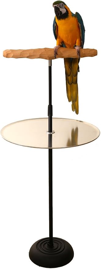 Parrot Training Perch Stand by ParrotWizard