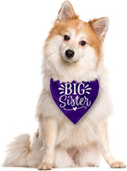 Big Sister Dog Bandanas, Pet Scarf Accessories, Pet Triangle Scarf, Dogs Bandana - Image 2