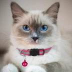 2 Pack Cat Collars Quick Release Reflective Kitten Collar - Image 3
