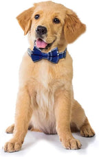 Yizepet Dog Collar with Bow Tie- Adjustable pet Collar - Image 5