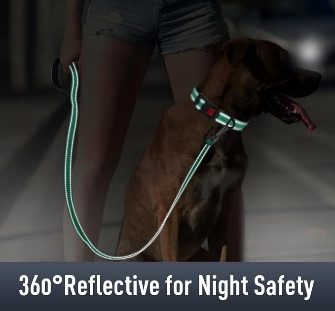 Airtag Dog Collar with AirTag Holder - Image 4