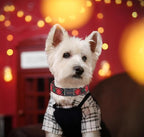 Unique style paws Dog Collar Metal Buckle Puppy Collar - Image 4