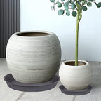 2 Pack of Bird Bath Bowl 12", 1.6" Depth, 10 12 inch Birdbath Bowls Dish Only - Image 3