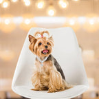 EXPAWLORER Cute Dog Necklace - Image 6