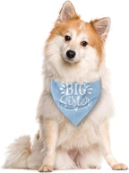 Big Sister Dog Bandanas, Light Blue Pet Scarf Accessories, Pet Triangle Scarf - Image 2