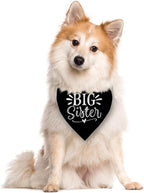 Big Sister Bandana for Dog, Pet Pregnancy Announcement, Big Sister Dogs Shirt - Image 2