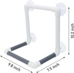 Bird Portable Suction Cup Shower Perch Parrot Window Wall Standing Platform - Image 6