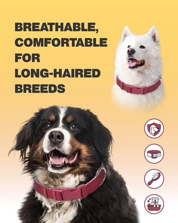 Dynmeow Soft and Breathable Cotton Dog Collar, Durable Adjustable Heavy-Duty - Image 5
