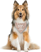 Birthday Girl Dog Bandana - Image 3