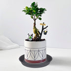 6 Pack Planter Saucer Tray Gray, 4 6 8 10 12 13 15 17 19 inch Pot Saucers - Image 4