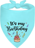 It's My Birthday Blue Dog Bandana, Birthday by Unknown