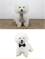 4 Pieces Pets Dog Cat Bowtie Pet Costume Adjustable Formal Necktie Collar - Image 6