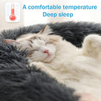 Cat Beds for Indoor Cats - Image 7