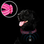 azuza Reflective Dog Collar - Image 5