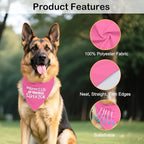 Mama's Lil Dramatic Sidekick Pink Dog Bandana, Mother's Day Birthday - Image 3
