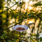 VCUTEKA Hanging Bird Baths Outdoor Glass Peacock Birdbath Birdfeeder - Image 5