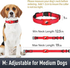 Airtag Dog Collar with AirTag Holder - Image 6