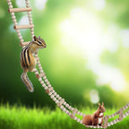 Bird Ladder Bridge, Wooden Pet Hamster Climbing & Swing Toys, Cage Accessories - Image 3