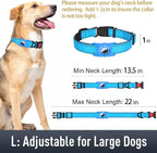 Airtag Dog Collar with AirTag Holder - Image 6