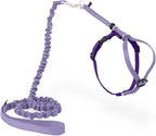 PetSafe Come With Me Kitty Cat Harness & Bungee Leash by PetSafe