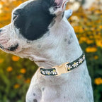 Woven Dog Collar with Metal Buckle Adjustable Jacquard Retro Dog Collars - Image 4