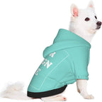 Dog Costume, Custom Dog Hoodie, Dog Name Costume Holiday Pet Pajamas Outfit - Image 2