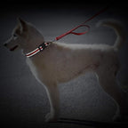 Weewooday 3 Pieces Reflective Dog Collar Nylon Adjustable Quick Release Pet - Image 6