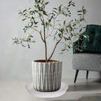 2 Pack of 20 21 inch Plant Saucer Round, Deep Plant Saucers - Image 4