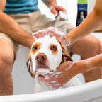 FURminator® deShedding Ultra Premium Conditioner, Conditioner - Image 7
