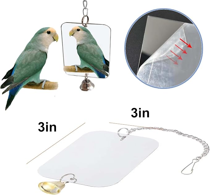 Bird Xylophone with Mirror & Bell Accessories - Image 4