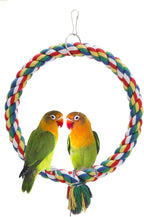 Bird Rope Swing Colorful Perch Climbing Toy by Wontee