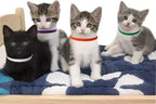 TTSAM 15 Pcs Puppy Id Collars 15 Colors Puppy Whelping Collars Double-Sided - Image 3