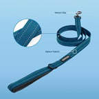 Best Pet Supplies Voyager Reflective Dog Leash or Collar - Image 2