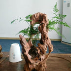 Natural Wood Aquarium Cave Betta Fish Hideout - Image 8