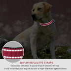 Reflective Dog Collar with Buckle Adjustable Safety Nylon Collars - Image 4