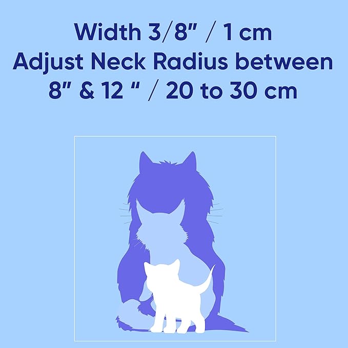 Pawtitas Glow in The Dark Cat Collar - Image 4