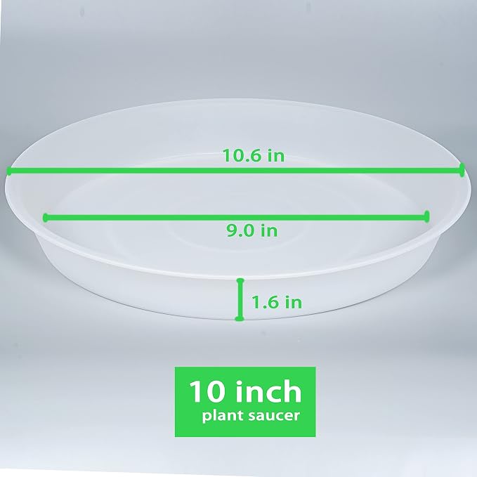6 Pack of 10 inch Plant Saucer Clear, Heavy Duty Plastic Plant Saucer 10 inch - Image 2
