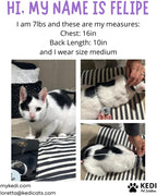 Cat Surgery Recovery Suit Female Cat Onesie - Image 6