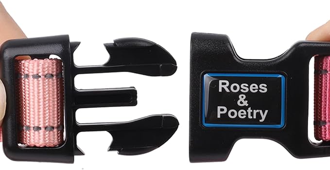 Roses&Poetry Small Dog Collar Girl Reflective - Image 5